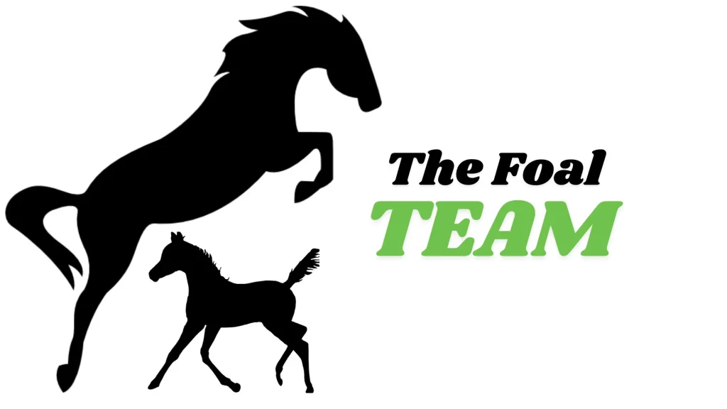 The Foal