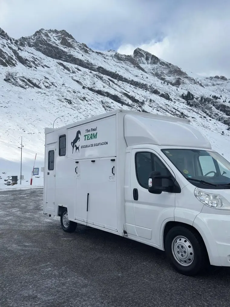 Furgoneta de transporte de caballos en venta, vista exterior
