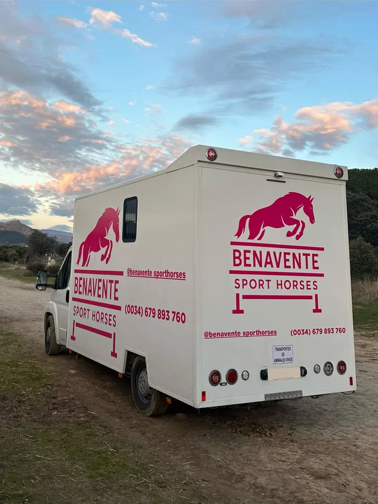Furgoneta de transporte de caballos en venta, vista interior