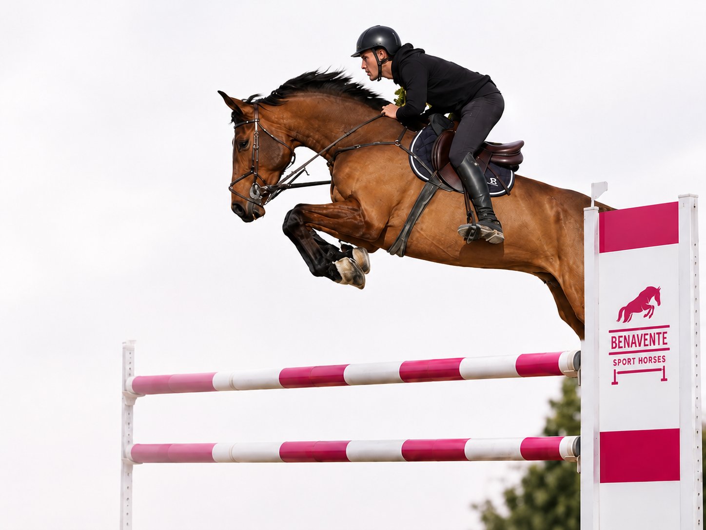 Transporte de caballos Benavente Sport Horses